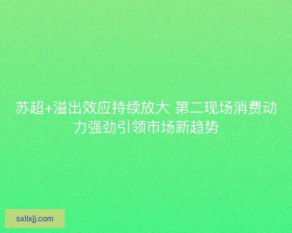 苏超+溢出效应持续放大 第二现场消费动力强劲引领市场新趋势