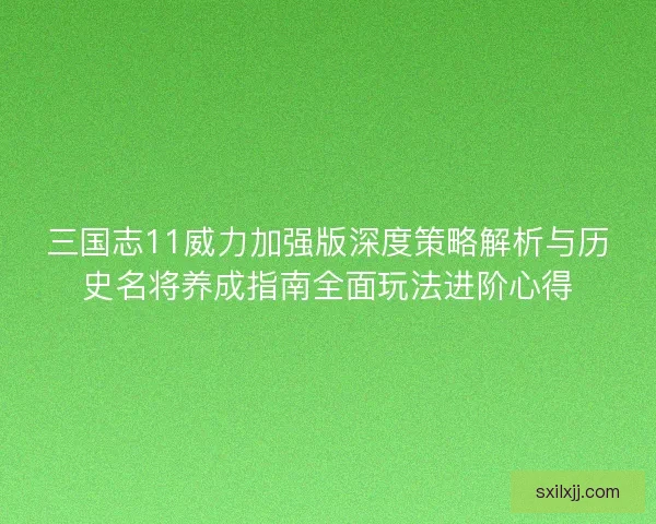 三国志11威力加强版深度策略解析与历史名将养成指南全面玩法进阶心得 三国志11威力加强版深度策略解析与历史名将养成指南全面玩法进阶心得