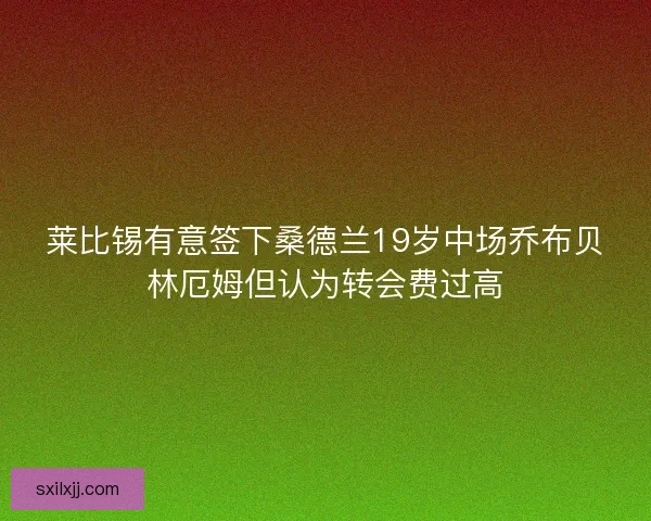 莱比锡有意签下桑德兰19岁中场乔布贝林厄姆但认为转会费过高