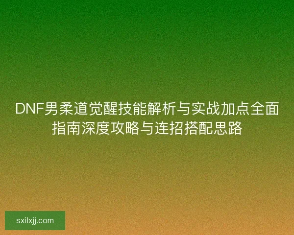 DNF男柔道觉醒技能解析与实战加点全面指南深度攻略与连招搭配思路 DNF男柔道觉醒技能解析与实战加点全面指南深度攻略与连招搭配思路