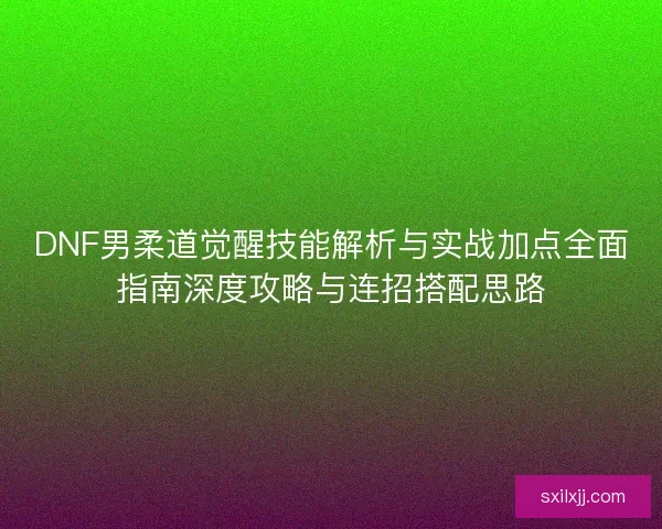 DNF男柔道觉醒技能解析与实战加点全面指南深度攻略与连招搭配思路