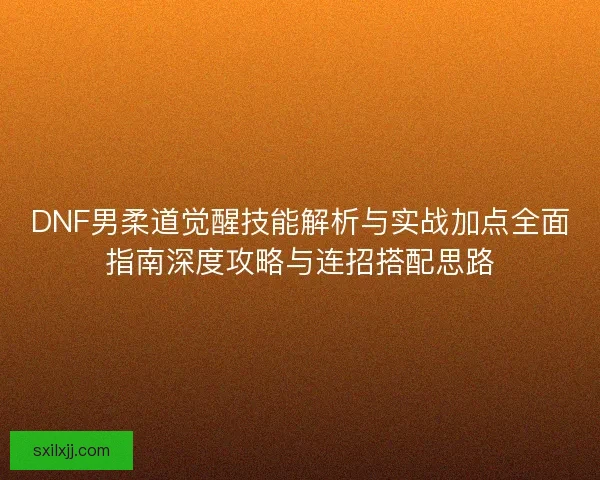 DNF男柔道觉醒技能解析与实战加点全面指南深度攻略与连招搭配思路