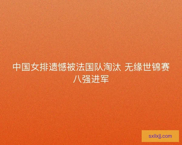 中国女排遗憾被法国队淘汰 无缘世锦赛八强进军